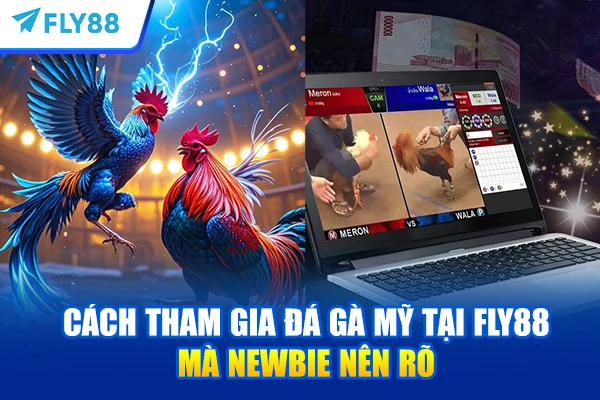 Cách tham gia Đá gà mỹ tại FLY88 mà newbie nên rõ