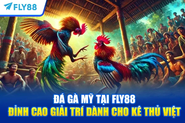 Đá Gà Mỹ Tại FLY88 – Đỉnh Cao Giải Trí Dành Cho Kê Thủ Việt