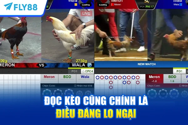 Đọc kèo cũng chính là điều đáng lo ngại