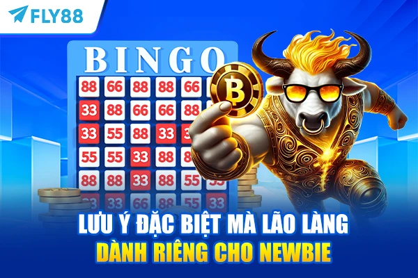 Lưu ý đặc biệt mà lão làng dành riêng cho newbie