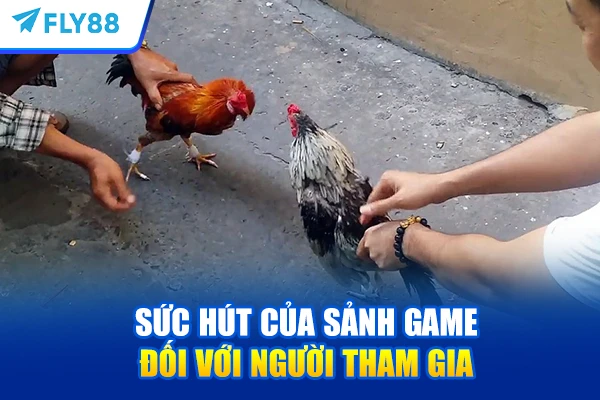 Sức hút của sảnh game đối với người tham gia