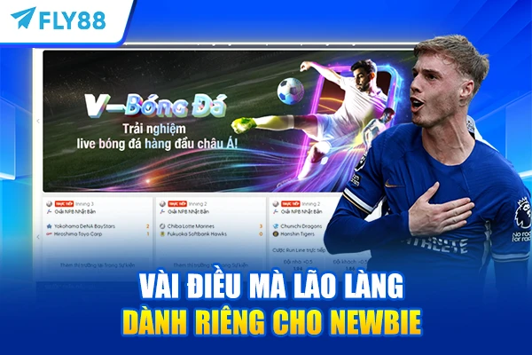 Vài điều mà lão làng dành riêng cho newbie