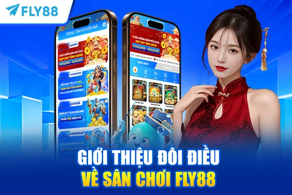 Giới thiệu đôi điều về sân chơi FLY88